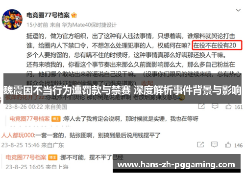 魏震因不当行为遭罚款与禁赛 深度解析事件背景与影响