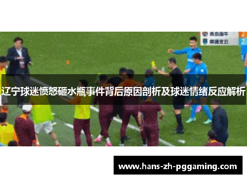 辽宁球迷愤怒砸水瓶事件背后原因剖析及球迷情绪反应解析