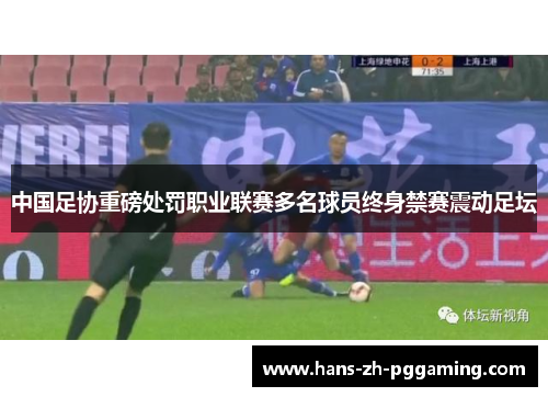 中国足协重磅处罚职业联赛多名球员终身禁赛震动足坛